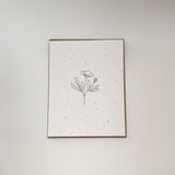 Plantable Card - Floral